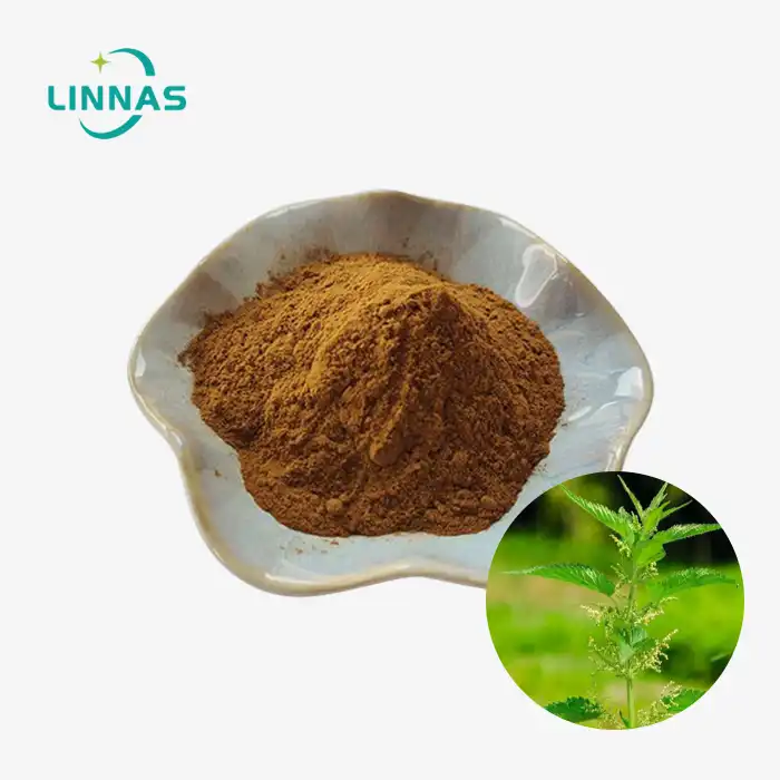 Nettle Extract Powder